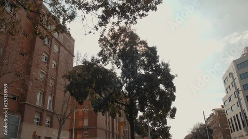 street with trees at sunset, city houses flats photo