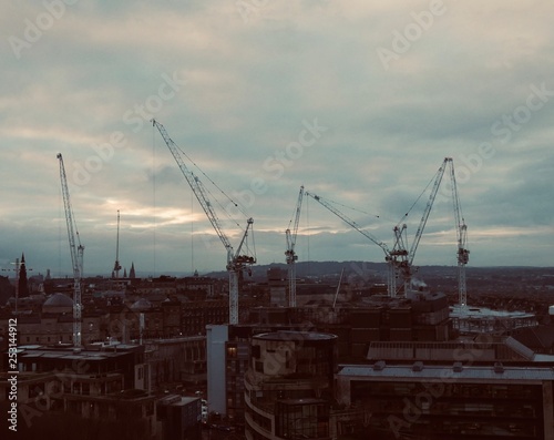 Group Of Cranes In City