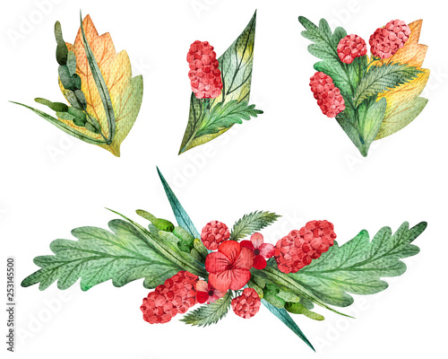 Set of watercolor compositions with leaves, berries and herbs. Single elements on a white background. Illustration for fabrics, posters, postcards, packaging paper, decoration.