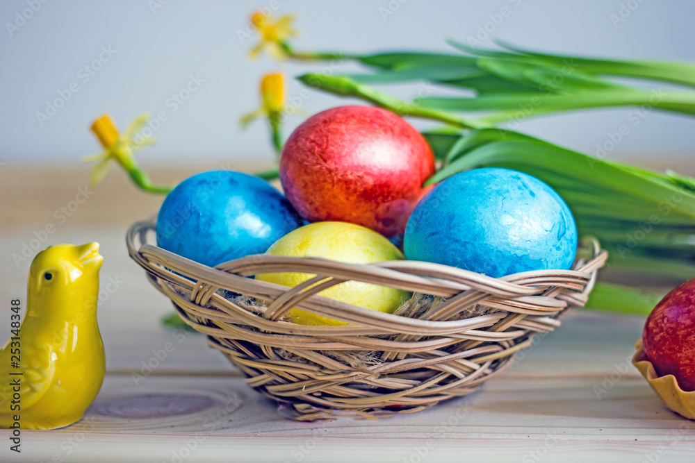 Easter eggs of red blue yellow color on a wooden white table, near greens and yellow flower narcissus, top view. Beautiful Easter table setting Easter eggs of red blue yellow color on a wooden white table, near greens and yellow flower narcissus, top view. Beautiful Easter table setting