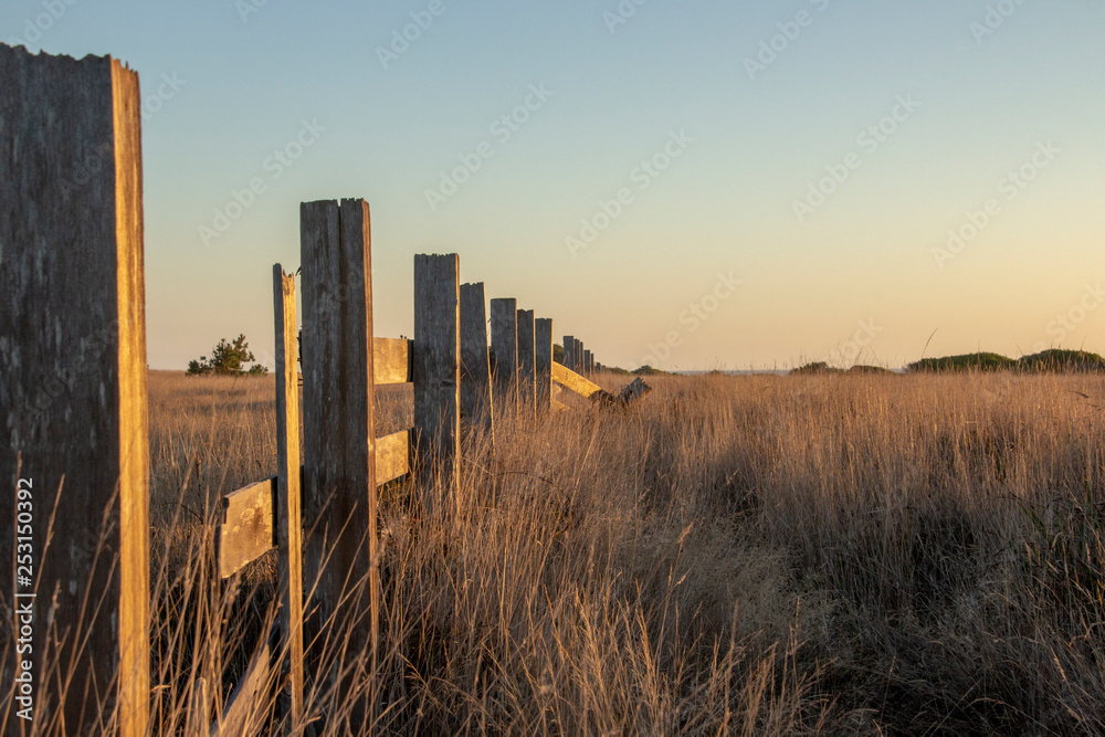 Obraz premium sunset sonoma county
