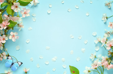 Beautiful spring nature background with butterfly, lovely blossom, petal a on turquoise blue background , top view, frame. Springtime concept.