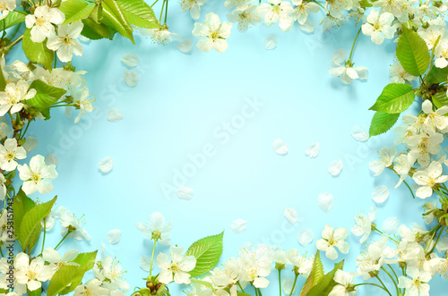 Beautiful spring nature background with lovely blossom  petal a on turquoise blue background   top view  frame. Springtime concept.
