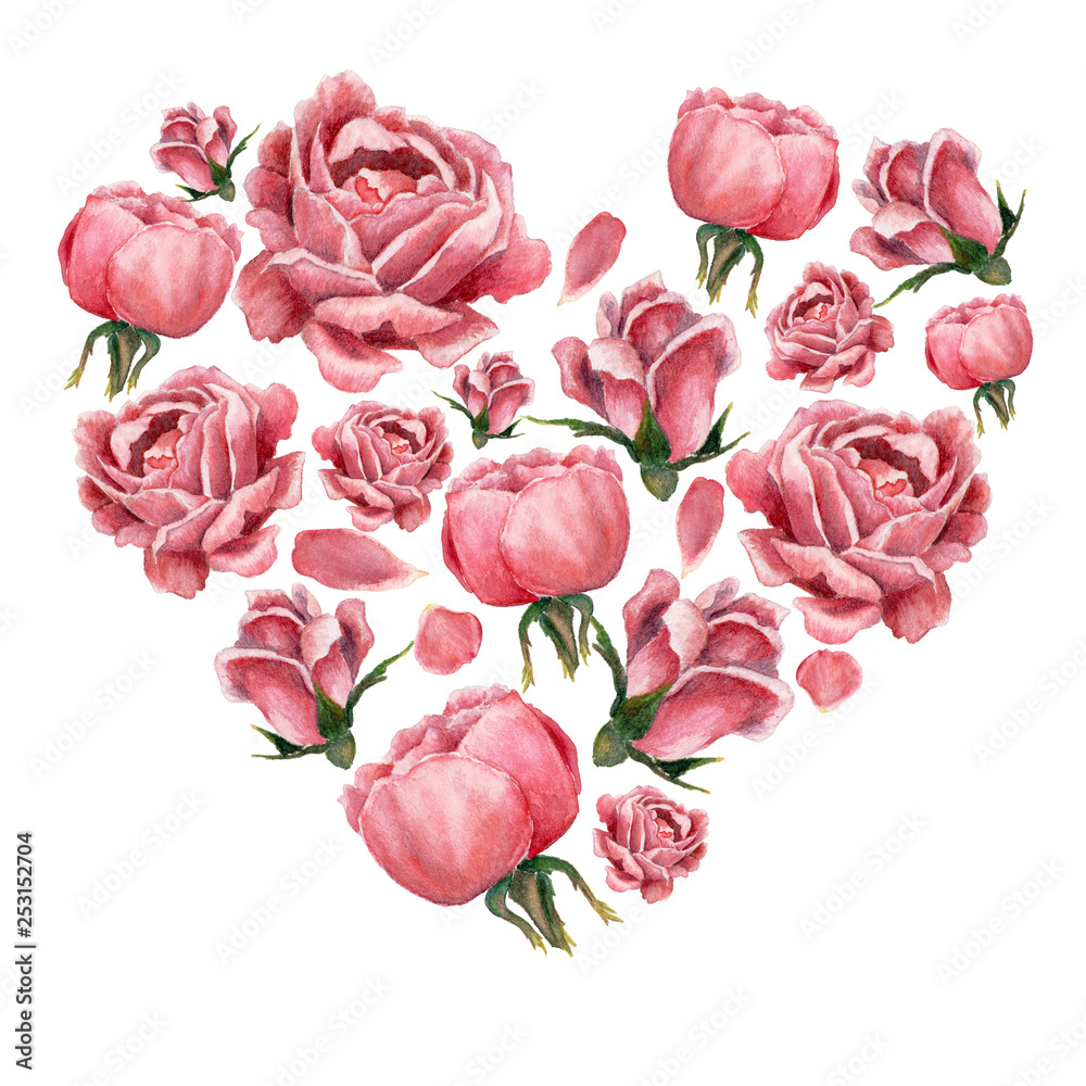 Naklejka Heart shaped form filled with pink blooming roses, isolated on white, hand drawn botanical illustration.