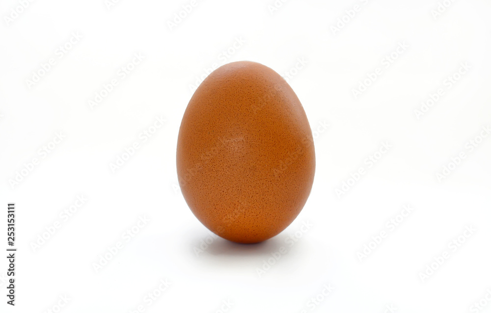 chicken egg on white background chicken egg on white background