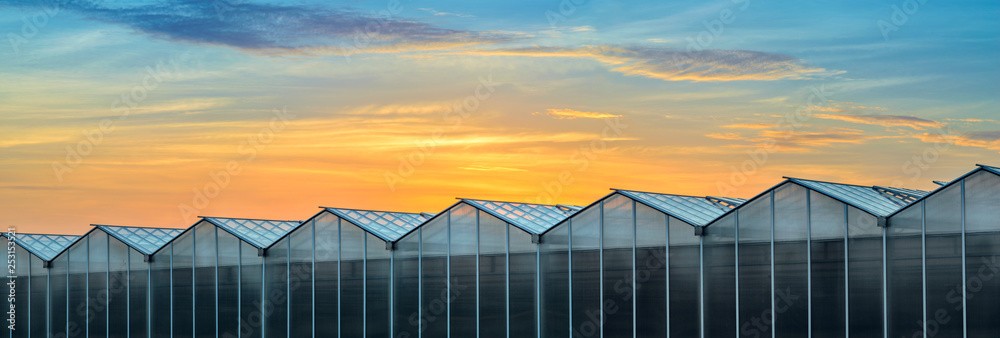 Large Industrial Greenhouse at Sunset. Gorgeous Sunset Red and Orange Sky Over the Building of Greenhouses Plant. Panoramic View of the Greenhouse at Sunset Large Industrial Greenhouse at Sunset. Gorgeous Sunset Red and Orange Sky Over the Building of Greenhouses Plant. Panoramic View of the Greenhouse at Sunset