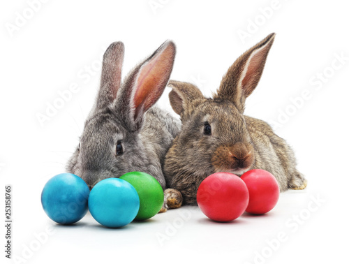 Rabbits and Easter eggs. © voren1