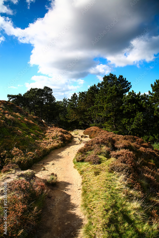View of Ilkley moor West Yorkshire UK View of Ilkley moor West Yorkshire UK