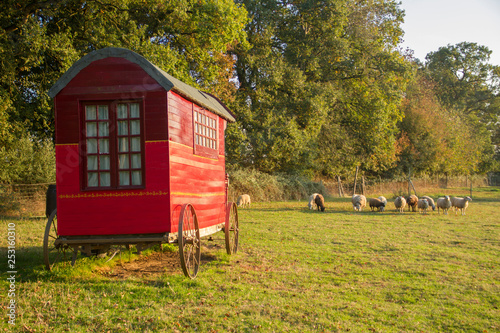 old style caravan camper in sheep feeld photo