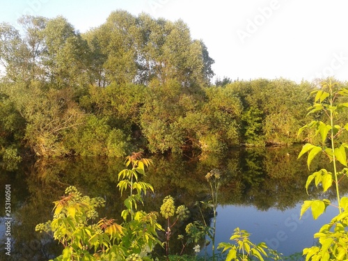 lake in autumn forest