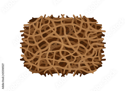 illustration of nest termite texture close up isolated on white background, clip art termite nest, termite nest ant insect species eaten wood decay and bite damaged, termite nest white ants close-up