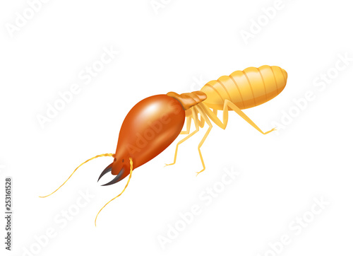 illustration termite isolated on white background, insect species termite ant eaten wood decay and damaged wooden bite, cartoon termite clip art, animal type termite or white ants