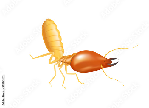 illustration termite isolated on white background, insect species termite ant eaten wood decay and damaged wooden bite, cartoon termite clip art, animal type termite or white ants