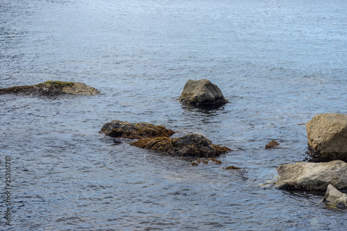 Italy,Cinque Terre,Riomaggiore, a close up of a rock next to a body of water