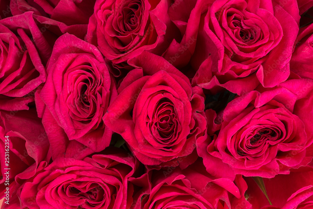 Background of red roses close up. Background of red roses close up.