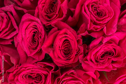 Background of red roses close up.