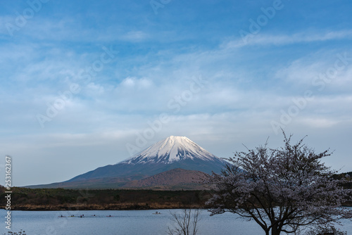 Mount Fuji or Mt. Fuji, the World Heritage, view in Lake Shoji ( Shojiko ). Fuji Five Lake region, Minamitsuru District, Yamanashi prefecture, Japan. Landscape for travel destination. photo