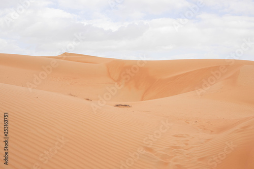 Wahiba Sands Desert Oman 