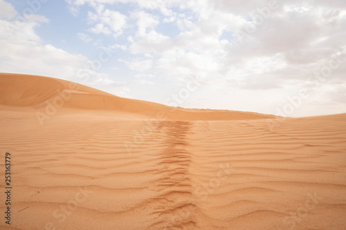 Wahiba Sands Desert Oman 