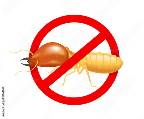 termite in prohibited red circle sign isolated on white background, logo insects termite, termite prohibition symbol for flat icons info graphic, illustration termites icon for chemical spray products