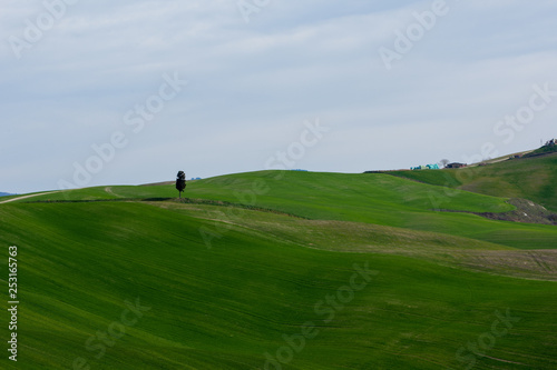 Crete senesi