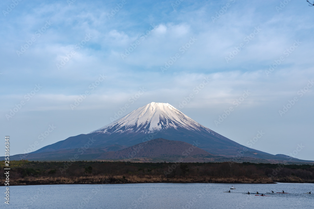 Mount Fuji or Mt. Fuji, the World Heritage, view in Lake Shoji ( Shojiko ). Fuji Five Lake region, Minamitsuru District, Yamanashi prefecture, Japan. Landscape for travel destination.