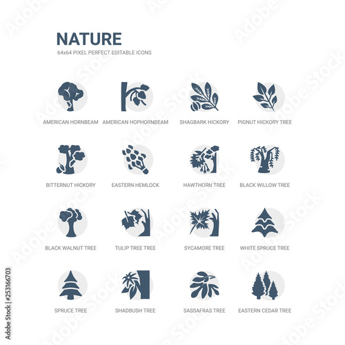 simple set of icons such as eastern cedar tree, sassafras tree, shadbush tree, spruce white spruce sycamore tulip black walnut black willow hawthorn related nature icons collection. editable 64x64