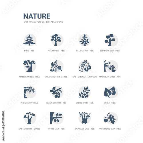 simple set of icons such as northern  oak tree, scarlet oak tree, white oak tree, eastern white pine birch butternut black cherry pin cherry american chestnut eastern cottonwood related nature icons photo