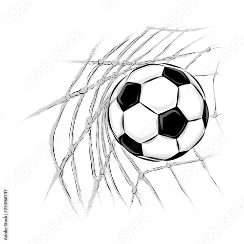 Soccer ball goal