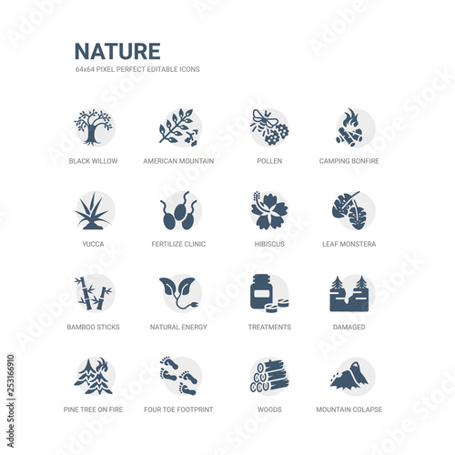 simple set of icons such as mountain colapse, woods, four toe footprint, pine tree on fire, damaged, treatments, natural energy, bamboo sticks, leaf monstera, hibiscus. related nature icons