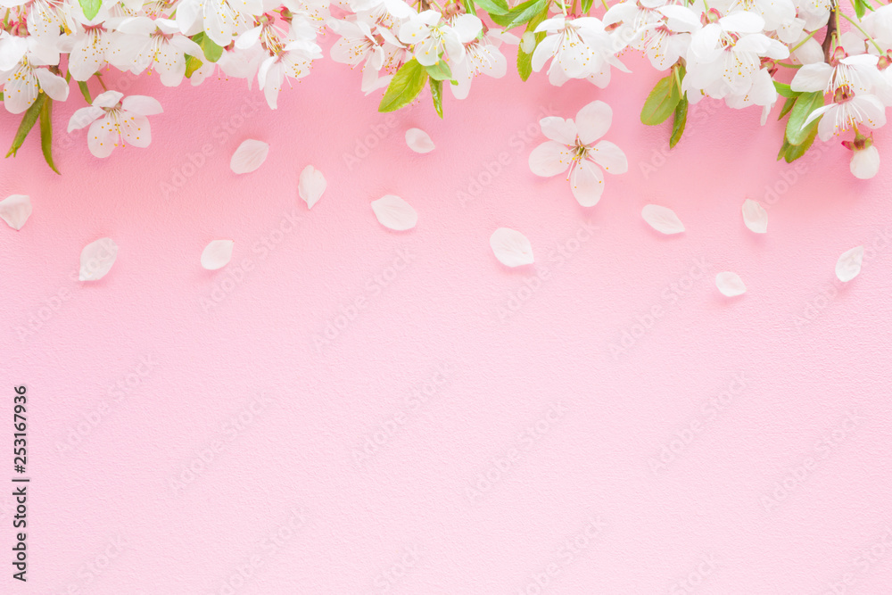 Fresh branches of cherry white blossoms on pastel pink background. Mockup for special offers as advertising or other ideas. Empty place for inspirational, motivational text, quote or sayings. 