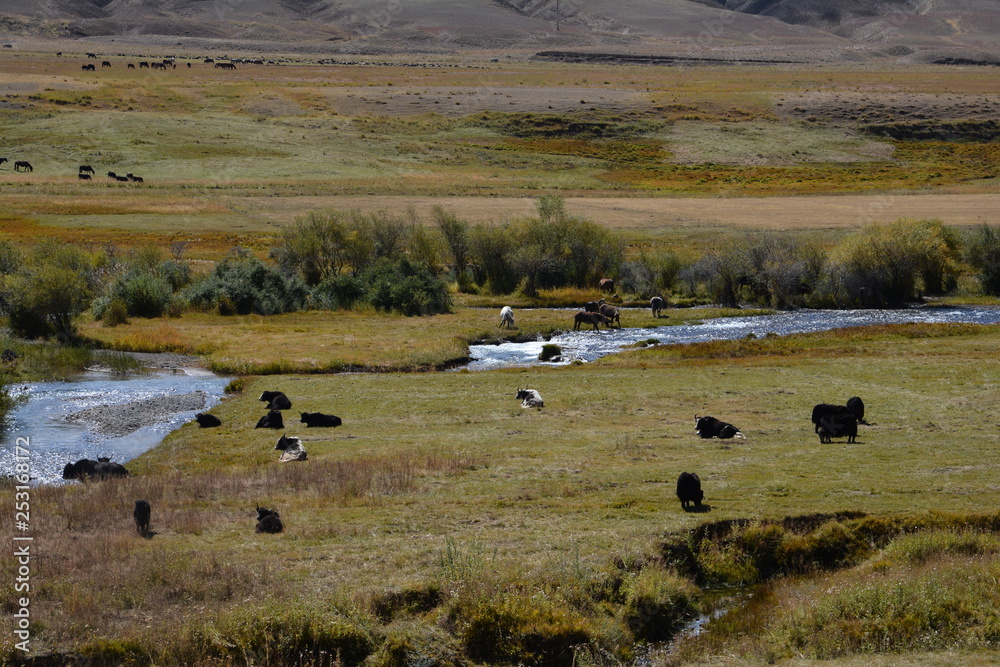 kyrgyzstan landscape