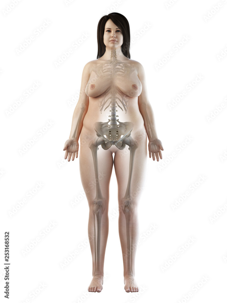 Fototapeta premium 3d rendered medically accurate illustration of an obese females skeletal system
