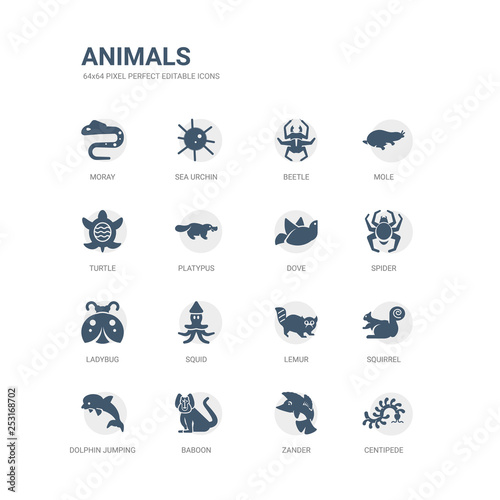 simple set of icons such as centipede, zander, baboon, dolphin jumping, squirrel, lemur, squid, ladybug, spider, dove. related animals icons collection. editable 64x64 pixel perfect.