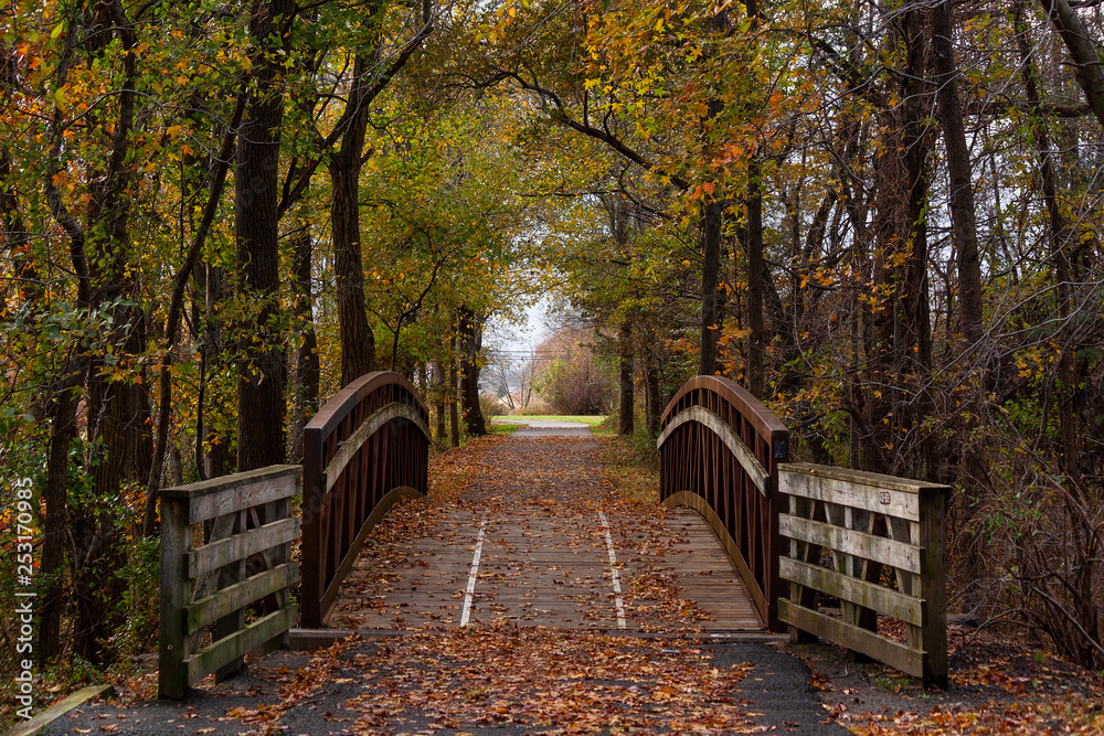 Naklejka premium Bridge in Woods