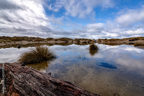 Reflections in a Rainwater Pond  Sand Dunes  Oregon  USA