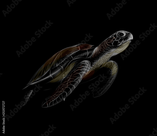 Portrait of a big sea turtle on a black background