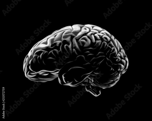 Human brain on a black background, hand drawn