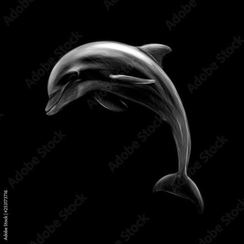 Dolphin on a black background, hand drawn