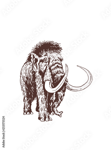 Graphical vintage mammoth ,vector illustration