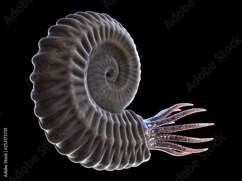 Fotografia 3d rendered illustration of a pre-historic marine creature - ammonite