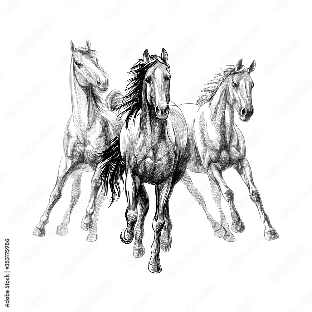 Three horses run gallop on white background, hand drawn sketch ...
