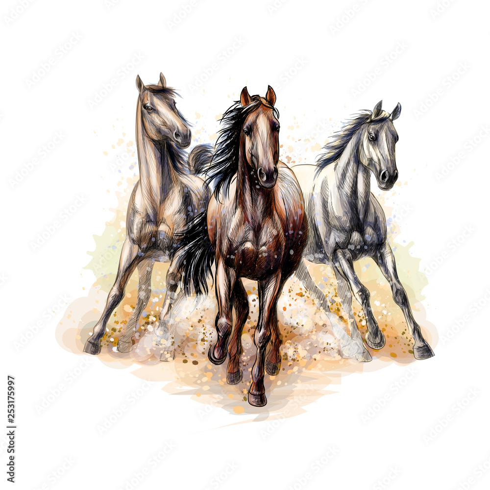 Vecteur Stock Three horses run gallop from a splash of watercolor, hand  drawn sketch | Adobe Stock