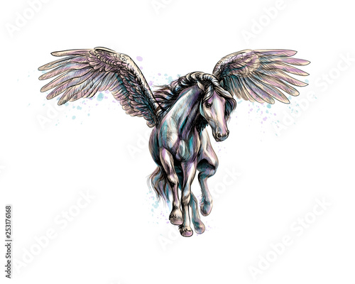 Pegasus mythical winged horse from splash of watercolors. Hand drawn sketch
