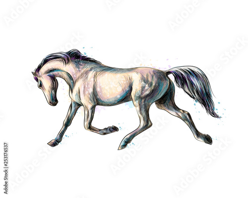 Horse run gallop from splash of watercolors. Hand drawn sketch