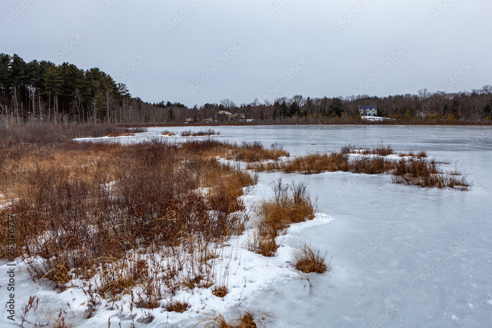 Acton, United States, February 27, 2019. Grassy Pond Conservation Area or raw nature in winter time, Massachusetts, United States Acton, United States, February 27, 2019. Grassy Pond Conservation Area or raw nature in winter time, Massachusetts, United States