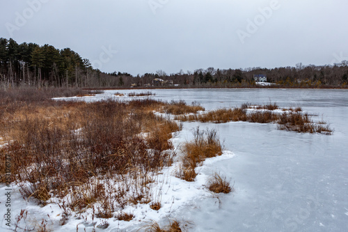 Acton  United States  February 27  2019. Grassy Pond Conservation Area or raw nature in winter time  Massachusetts  United States