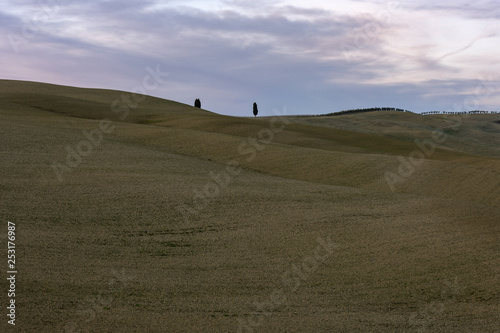 isolated trees