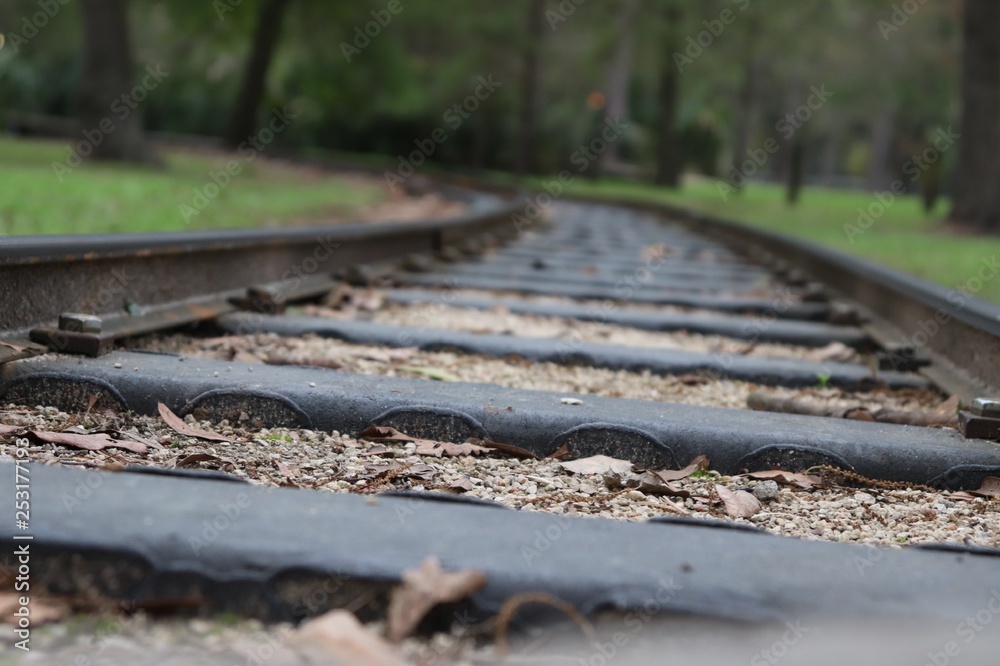 railroad tracks in the forest railroad tracks in the forest