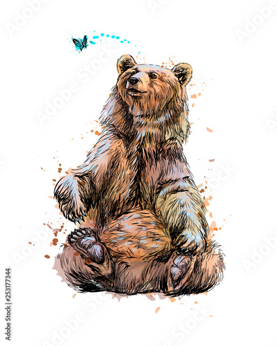 Brown bear sitting and playing with butterfly from a splash of watercolor